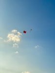 Sky and kite.jpeg