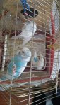 IMG_20200622_170459.jpg