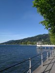 IMG_20200531_181425.jpg