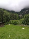 IMG_20200511_155741.jpg