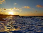 002F5D01-8CFB-48CE-9BE3-F0B120C58000.jpeg