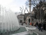 P3130309 [].jpg