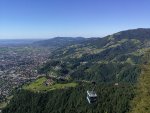 IMG_20200707_174955.jpg