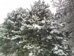 Foto0014.jpg