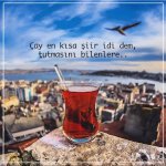 cay-ile-ilgili-en-guzel-sozler-010.jpg