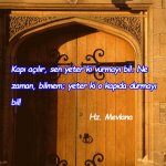 images.jpeg-9.jpg