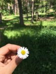 B234C3BD-156E-4594-823C-6A351E626C40.jpeg
