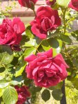 20200707_104915.jpg
