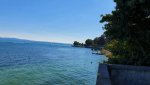 20200712_172932.jpg