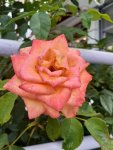 20200713_105748.jpg