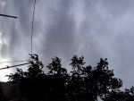 20200713_185350.jpg