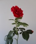 20200721_164429.jpg