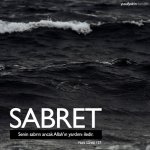 tumblr_2bac0608f80220dd93d58c73c0ff13b3_86e43d05_500.jpg
