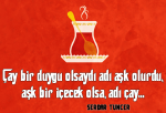 tumblr_o46oufviA71s6bz5fo1_1280 (1).png