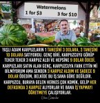 WhatsApp Image 2020-07-03 at 09.21.19.jpeg