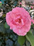 20200721_100937.jpg