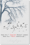 sess1.png