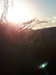 20200803_194310.jpg