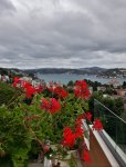 20200805_230154.jpg