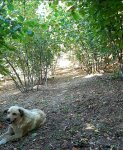 20200818_161703.jpg