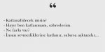 20200818_175204.jpg