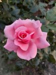 20200818_143042.jpg