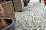 20200825_103803.jpg