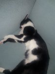 20200827_010424.jpg