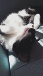 IMG_20200722_152803_459.jpg