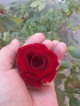 20200828_112347.jpg 20200828_112347.jpg