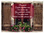 pencere-onundeki-ciceklerin-anlami-nelerdir.png