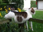 tumblr_753de835e0bfc94cfccd450b17b93055_581e4926_1280.jpg