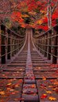 Bridge-47b1b6e0-00f7-4196-ba07-49fa80b6f78a.jpg Bridge-47b1b6e0-00f7-4196-ba07-49fa80b6f78a.jpg