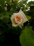 20170614_143355.jpg