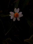 20170602_173119.jpg