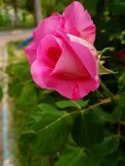 20170614_141529.jpg