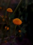 20170615_183218.jpg