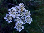 20180522_182549.jpg