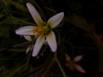 20170618_172106.jpg