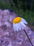 20180522_183455.jpg