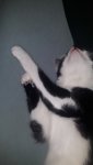 IMG_20200916_231328_208.jpg