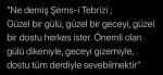 20200920_162246.jpg