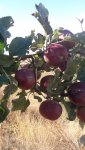 20200930_140827.jpg