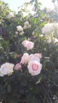 20200930_155909.jpg