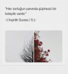 20201002_091101.jpg