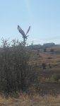 20201003_121808.jpg