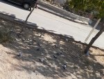 20201003_155128.jpg