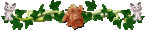 NnrzGC.gif