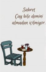 Screenshot_20221201-222526_Pinterest.jpg