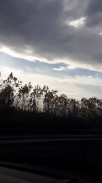 Screenshot_20221118-160343_Gallery.jpg